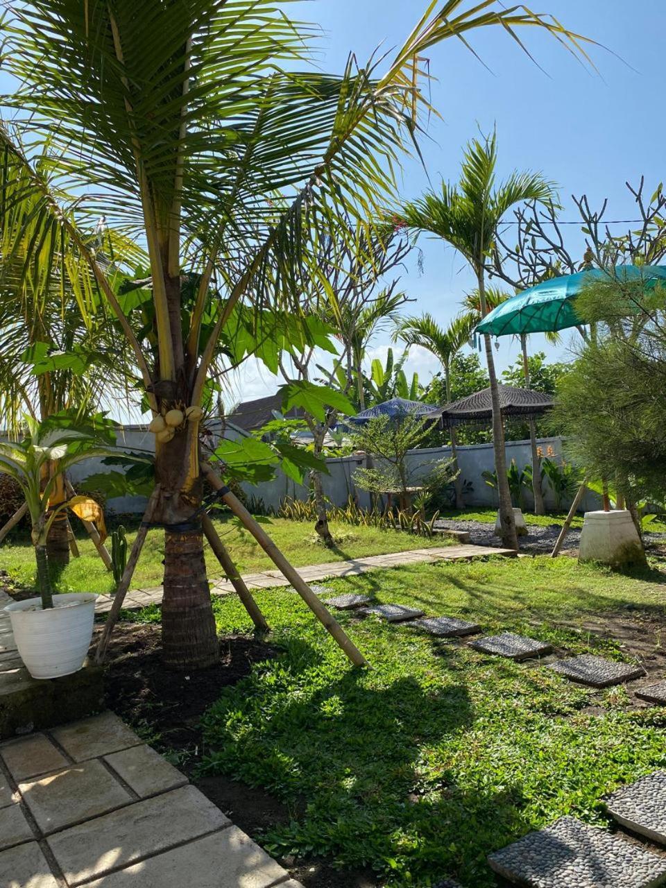 Sumbul View Surfcamp Hotel Airsatang Luaran gambar